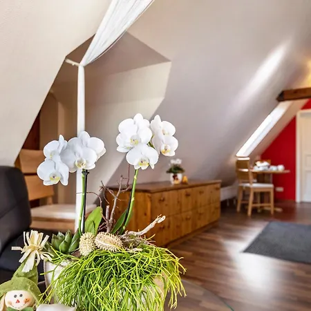 Apartment Dachspitz - Junges Wohnen Unterkirnach