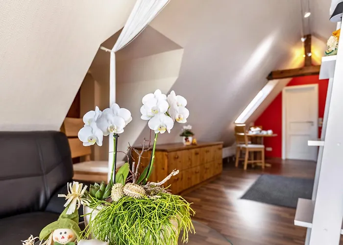 Appartement Dachspitz - Junges Wohnen Unterkirnach